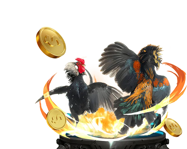 Mẹo và kinh nghiệm đá gà hiệu quả